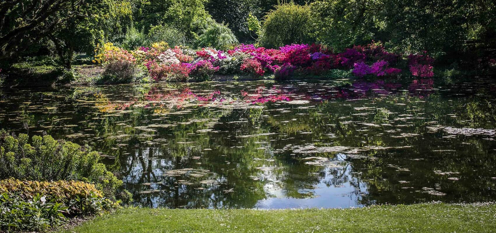Lush greenery and glass greenhouses at the Ghent University Botanical Garden