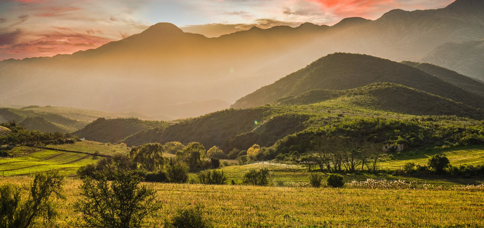 Herold Wines vineyard nestled near George on South Africa's scenic Garden Route