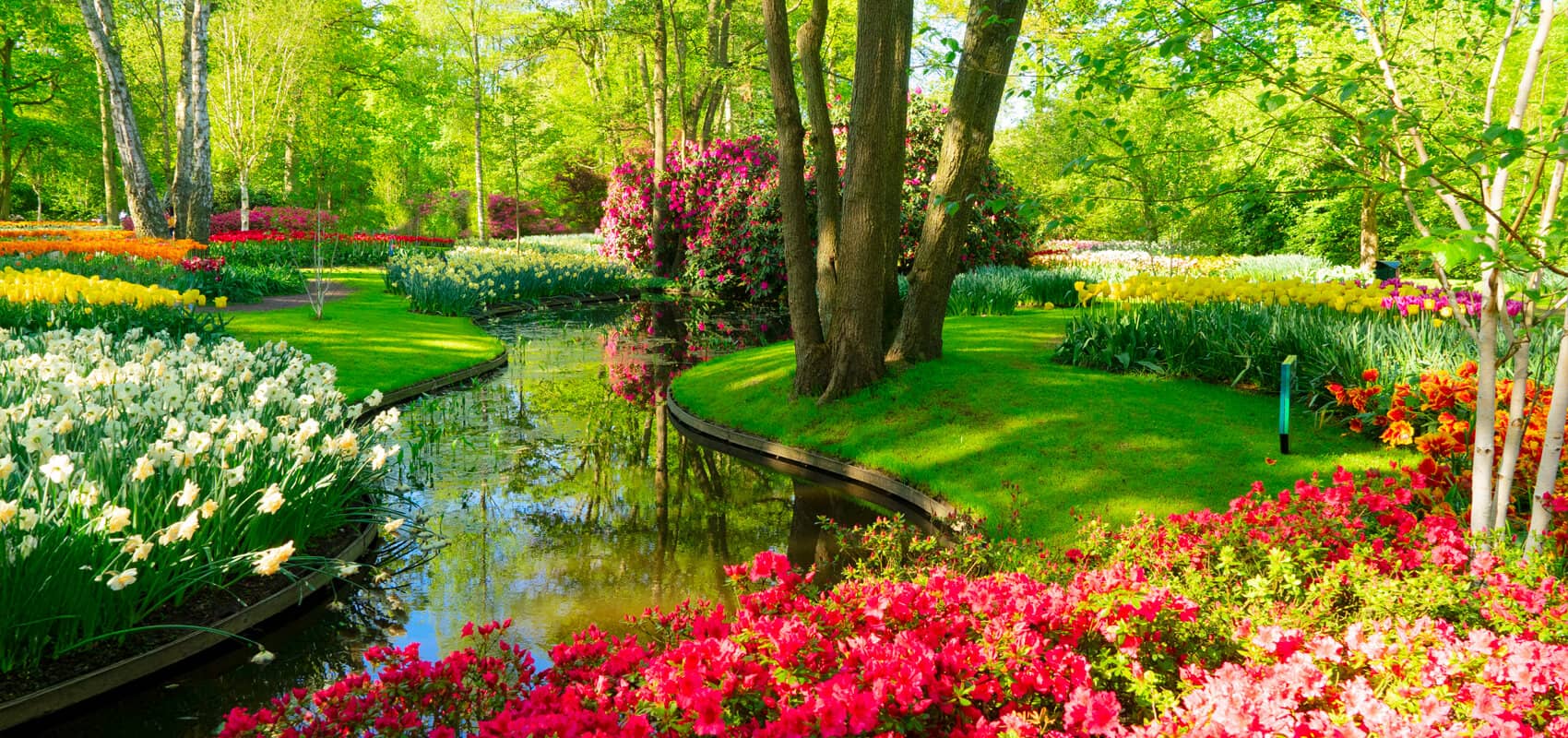 Keukenhof's central garden featuring winding canals and a sea of colourful tulips and flowers