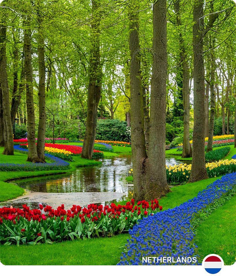 Keukenhof Gardens Netherlands: Must-See Tulips, Top Attractions & Planning Guide