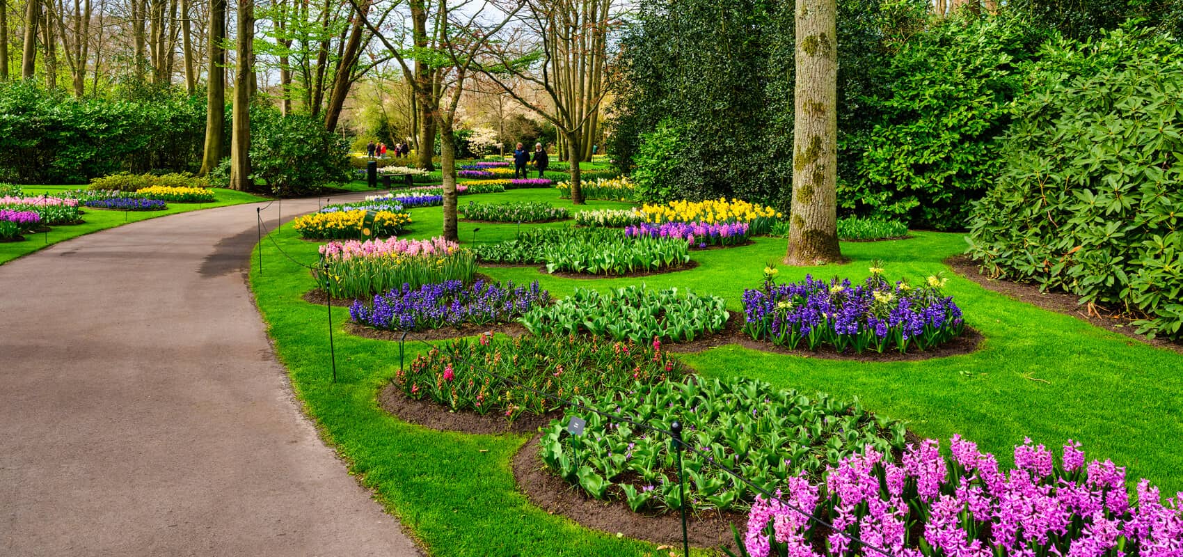 Vibrant flower beds lining elegant walkways in Keukenhof Gardens.