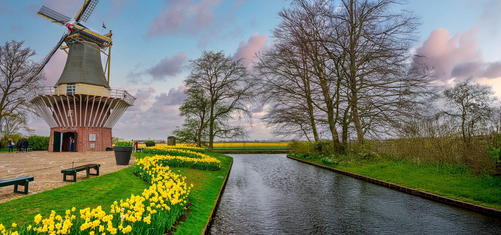 Keukenhof windmill overlooking tulip fields