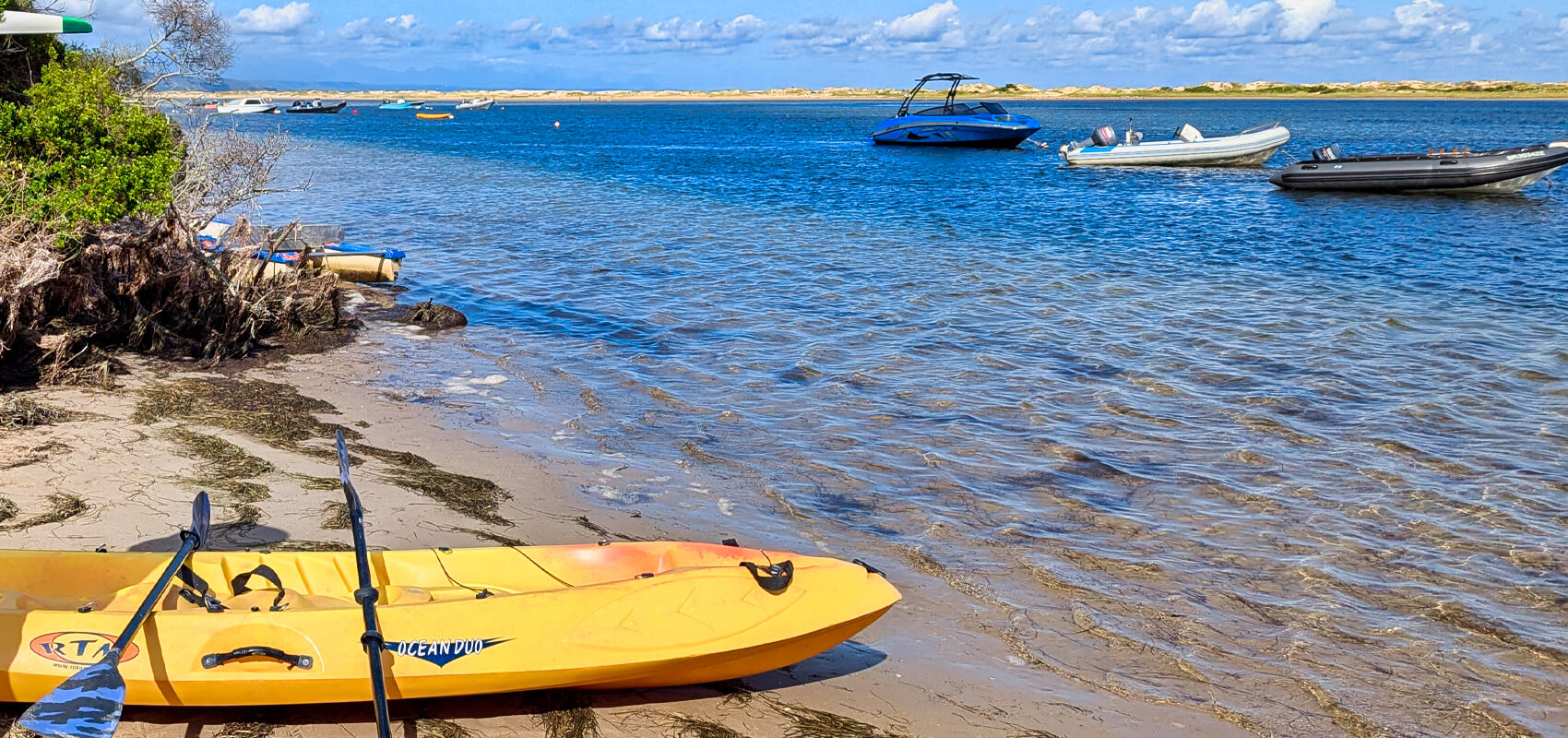 Explore the tranquil waters of Keurbooms River by kayak in South Africa.